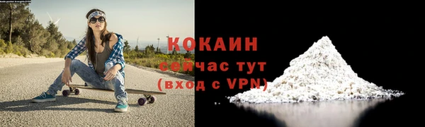 амф Дмитриев